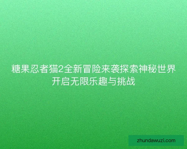 糖果忍者猫2全新冒险来袭探索神秘世界开启无限乐趣与挑战