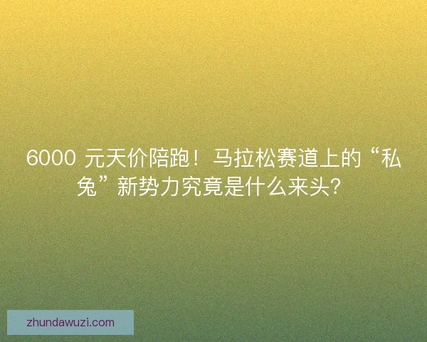 6000 元天价陪跑！马拉松赛道上的 “私兔” 新势力究竟是什么来头？
