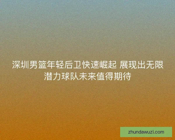 深圳男篮年轻后卫快速崛起 展现出无限潜力球队未来值得期待