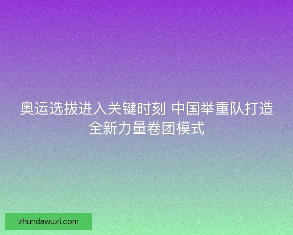 奥运选拔进入关键时刻 中国举重队打造全新力量卷团模式