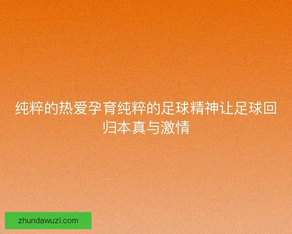 纯粹的热爱孕育纯粹的足球精神让足球回归本真与激情