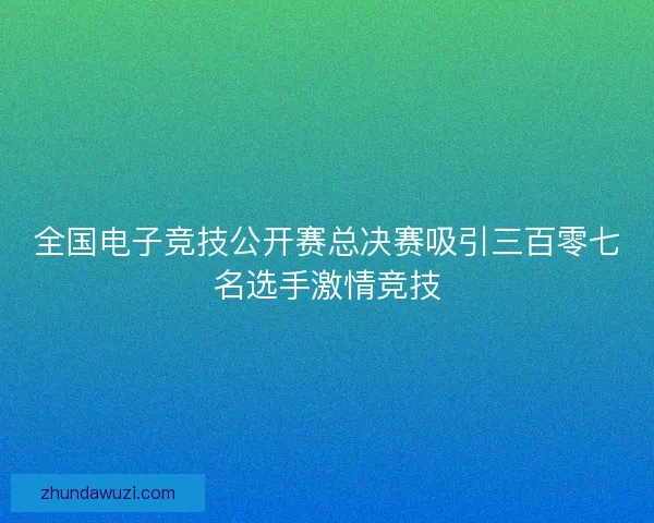 全国电子竞技公开赛总决赛吸引三百零七名选手激情竞技